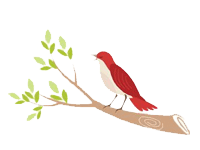 Bird, Sparrow