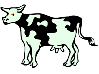 Cow