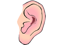 Ear