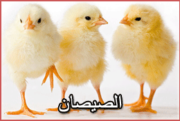 Levantine: Chicks song
