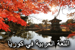 Arabic in Korea