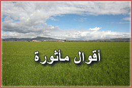 Arabic proverbs